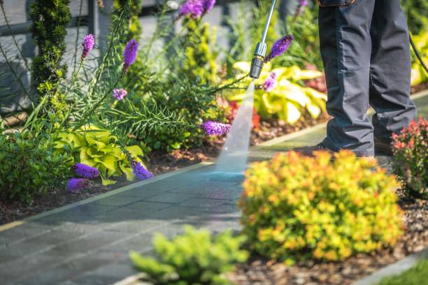 Best Soft Washing for Delicate Surfaces in Lakeview, OH